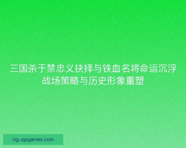 三国杀于禁忠义抉择与铁血名将命运沉浮战场策略与历史形象重塑